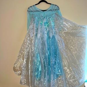 Disney Chasing Fireflies sequin Elsa Frozen dress size 4-6X